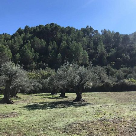 Paraiso Cuantico Eslida Esterno foto