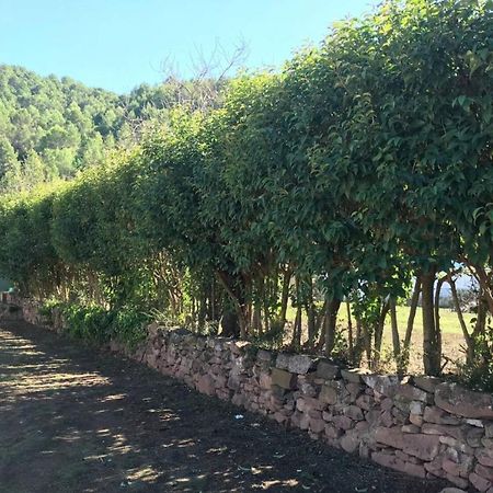 Paraiso Cuantico Eslida Esterno foto