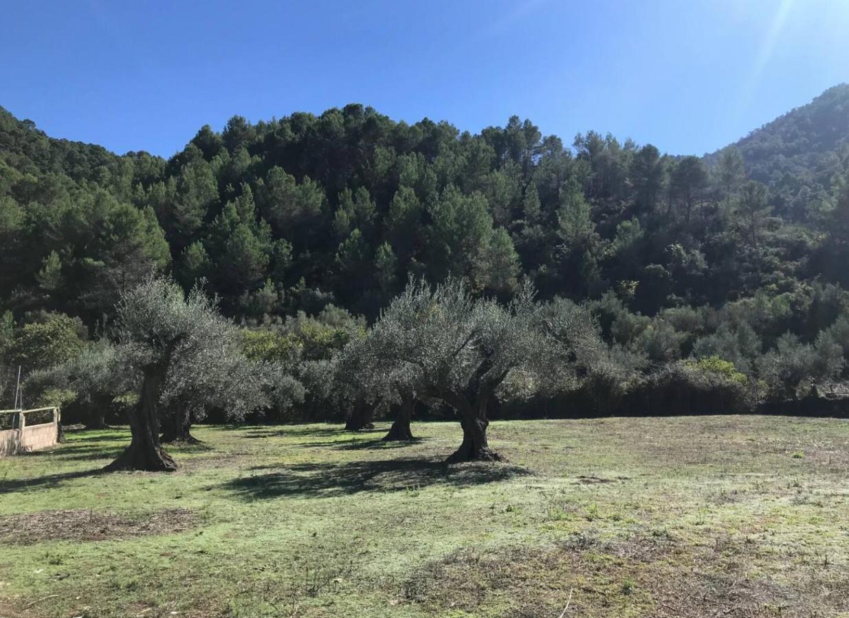Paraiso Cuantico Eslida Esterno foto