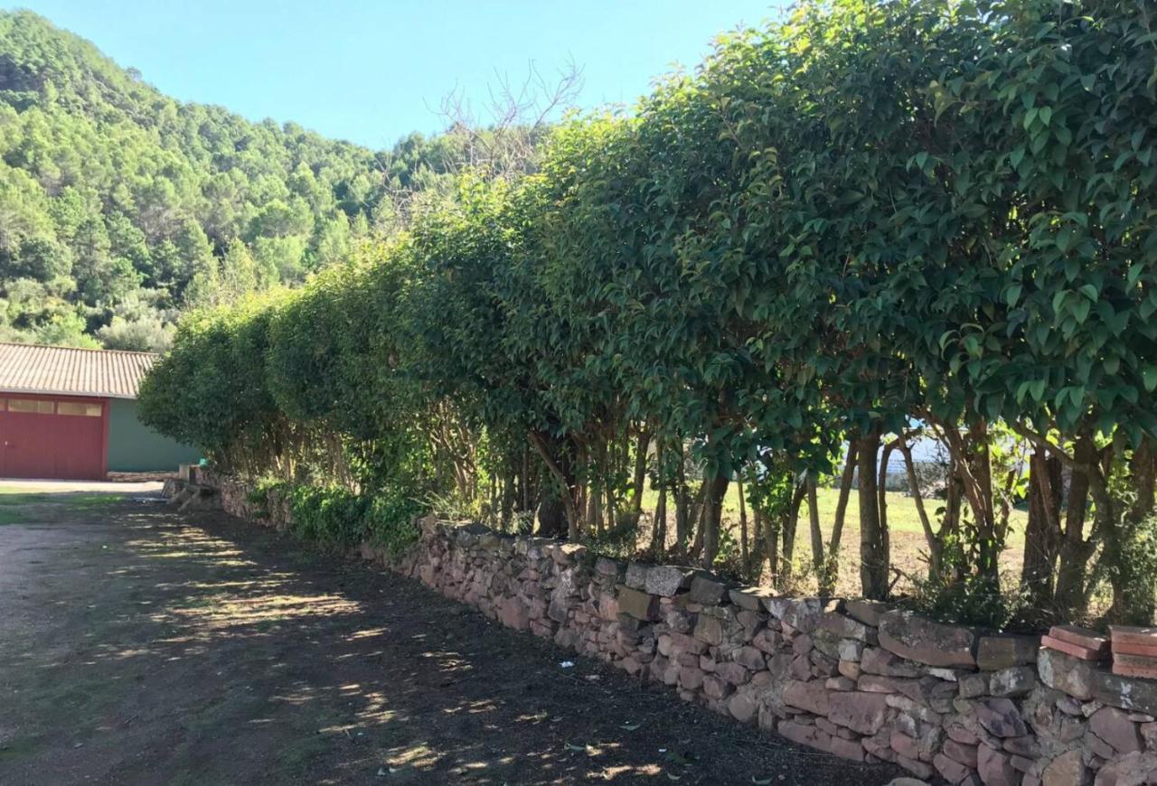 Paraiso Cuantico Eslida Esterno foto