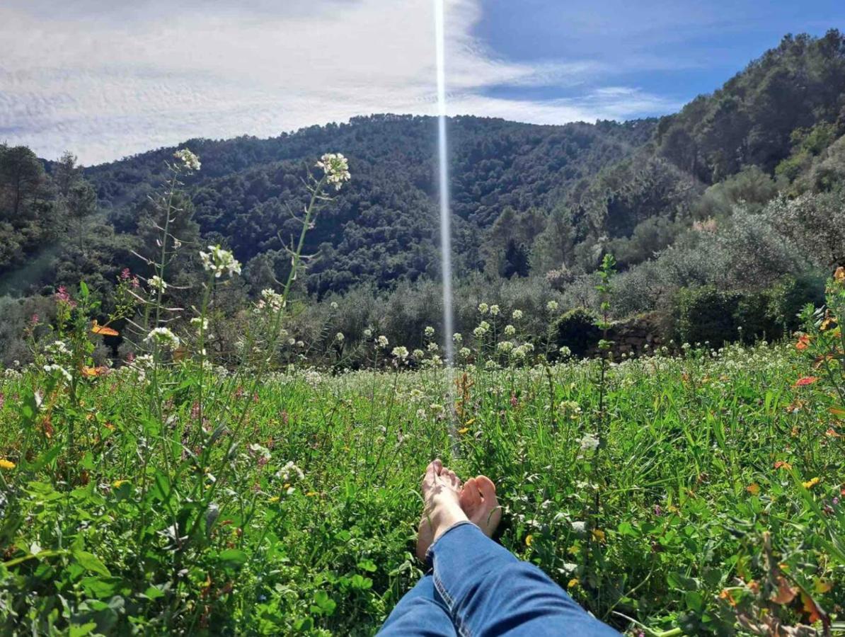Paraiso Cuantico Eslida Esterno foto