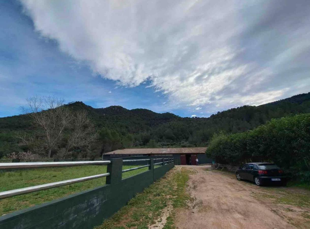 Paraiso Cuantico Eslida Esterno foto